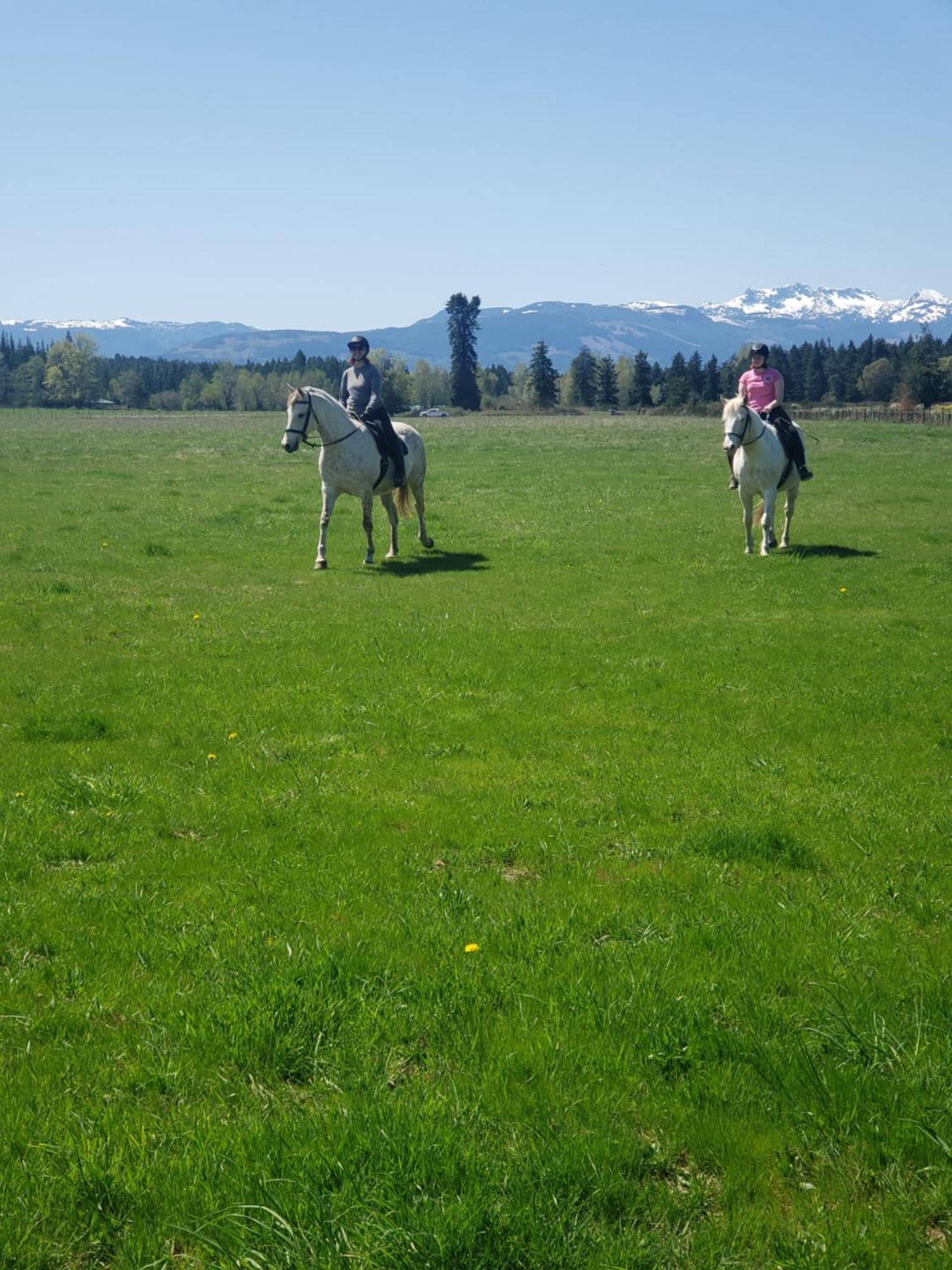 Paradise Acres Ranch Nanoose Bay Eksteriør billede
