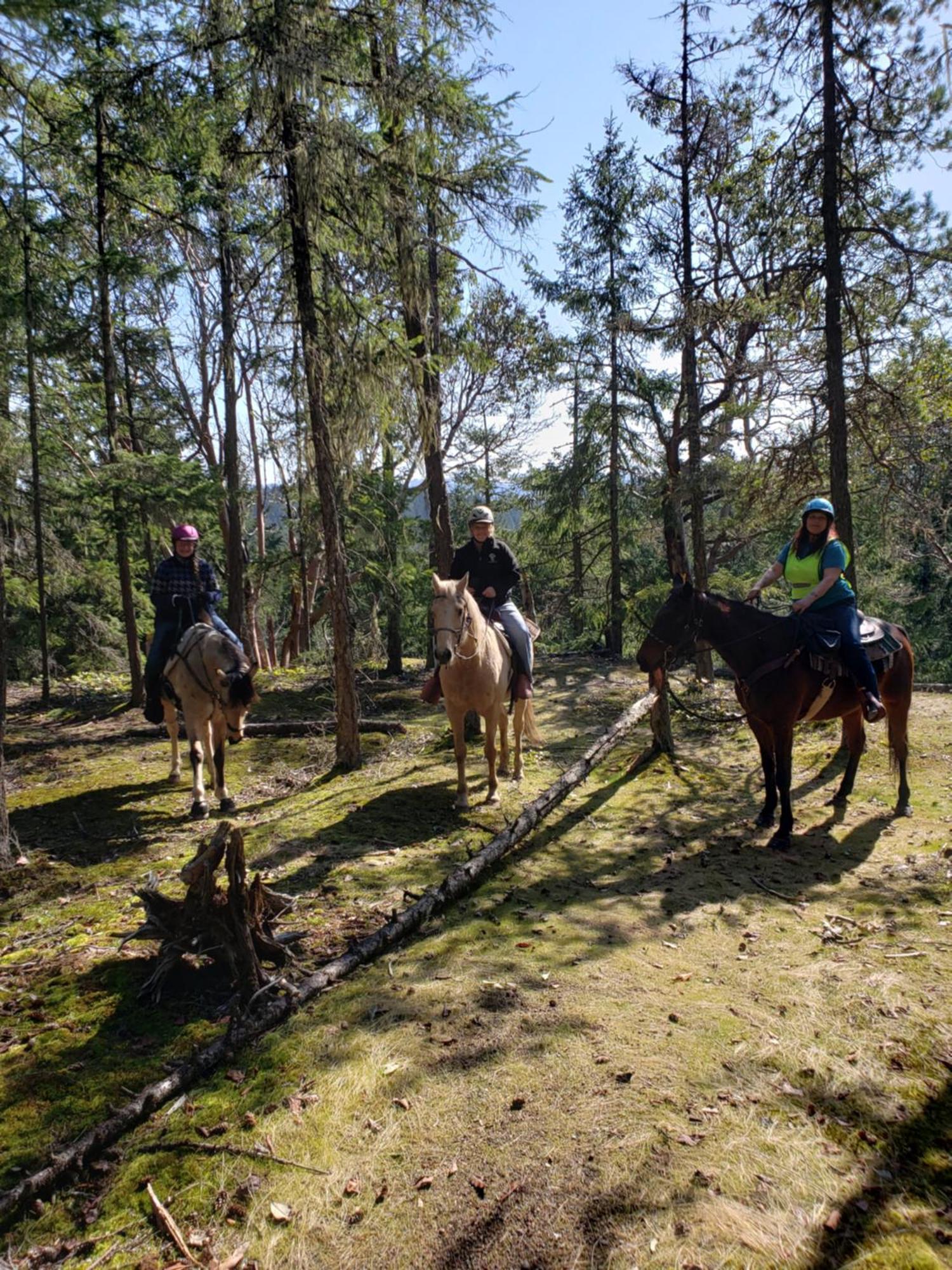Paradise Acres Ranch Nanoose Bay Eksteriør billede