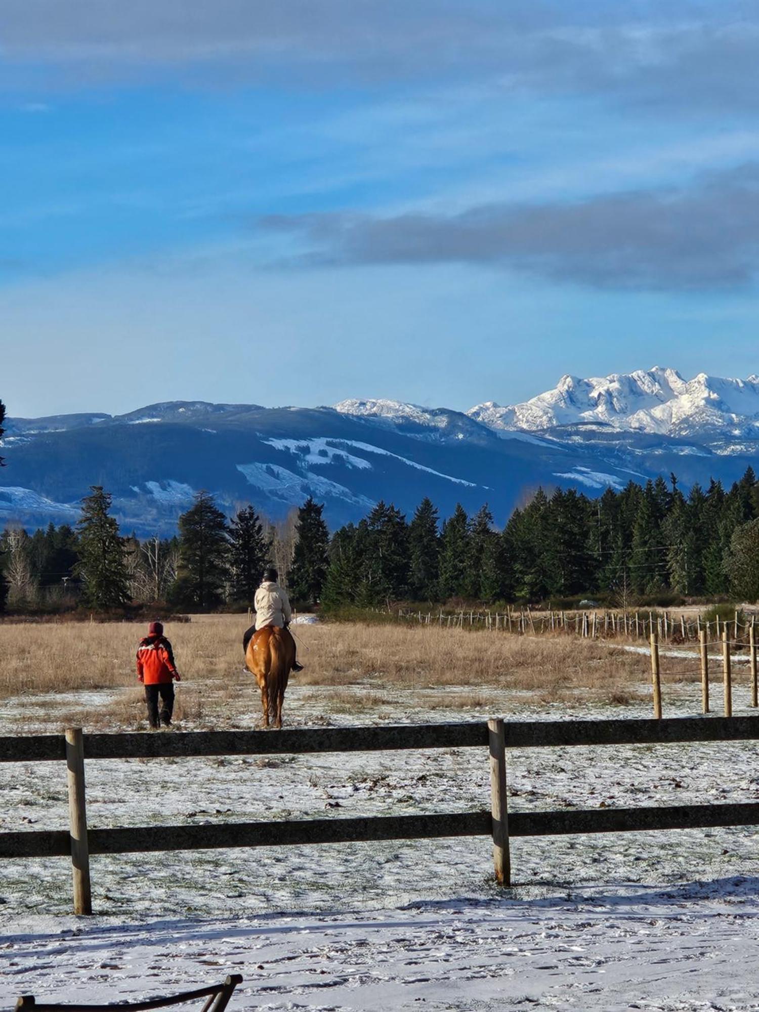 Paradise Acres Ranch Nanoose Bay Eksteriør billede