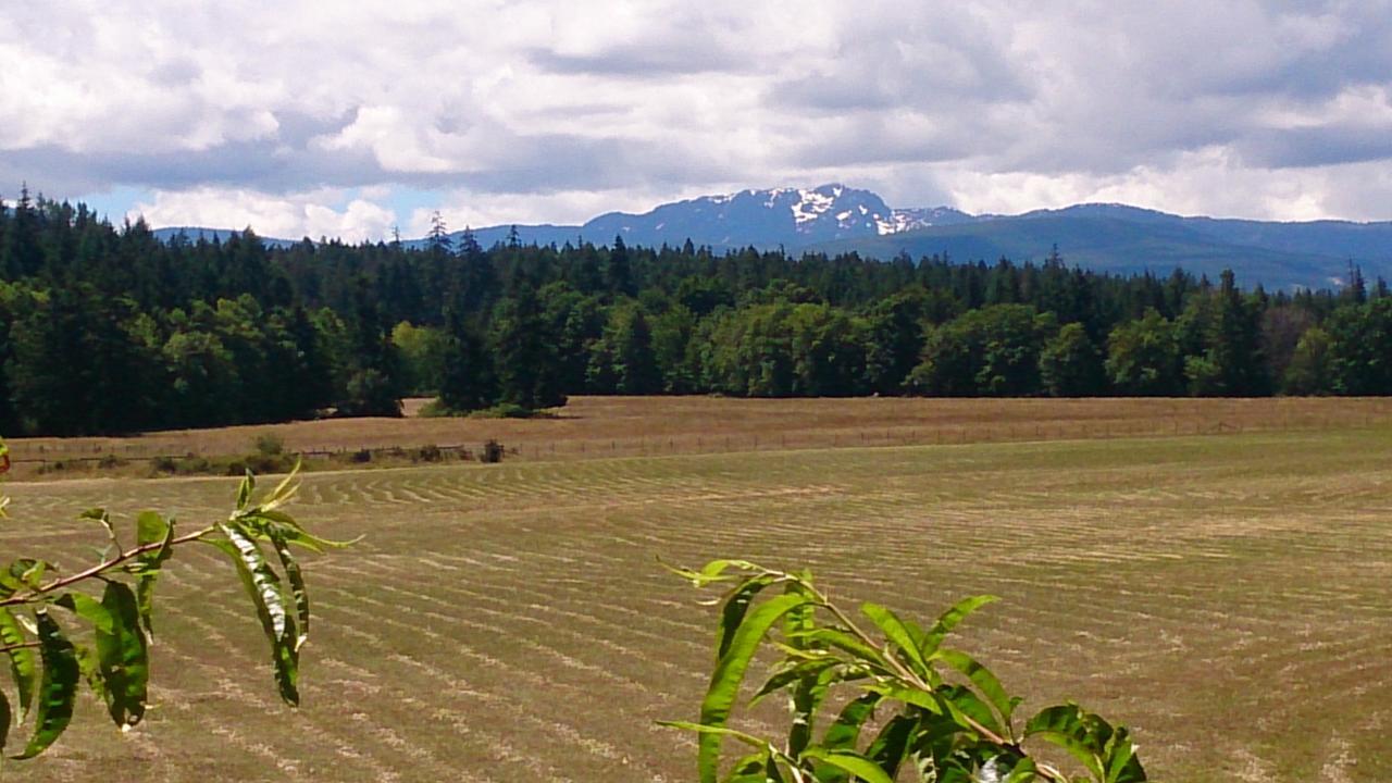 Paradise Acres Ranch Nanoose Bay Eksteriør billede