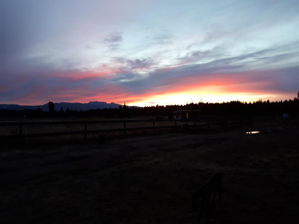 Paradise Acres Ranch Nanoose Bay Eksteriør billede