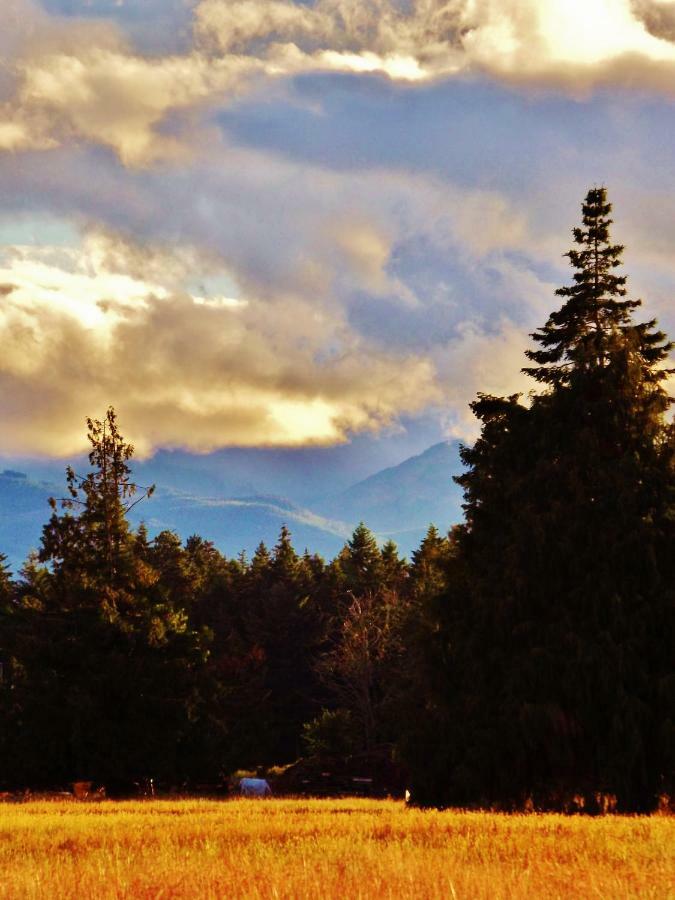 Paradise Acres Ranch Nanoose Bay Eksteriør billede